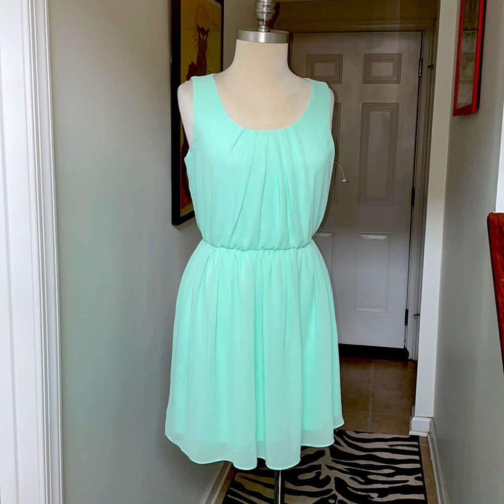 IZ Buyer Pale Green skater dress size M ๐๐พ - Picture 3 of 8